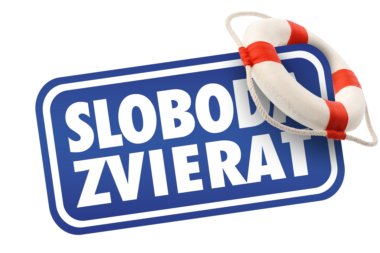 Obec informuje občanov o povinnostiach vyplývajúcich z chovu psov.